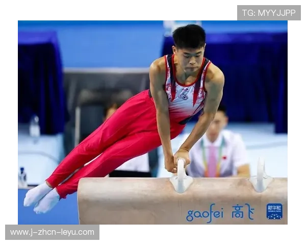 体操鞍马选手全程稳定无明显瑕疵